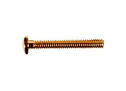 1.2 x 10.0 x 2.5 Gold Rimless Hex Trim Screw (pack of 50)